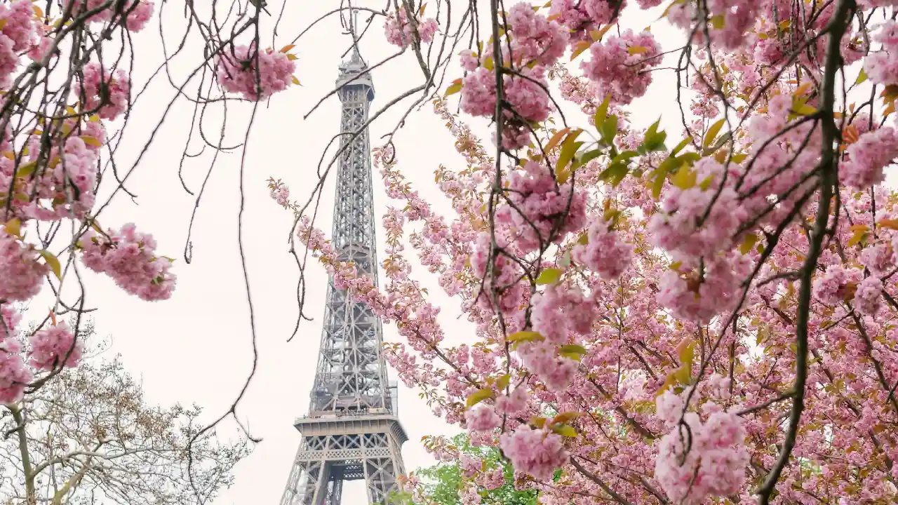 Guide to Springtime in Paris